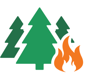 Wildland Fire